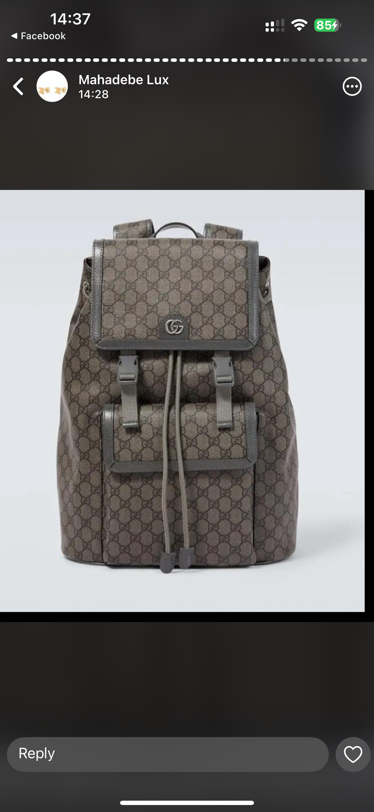 Ophidia Large Backpack